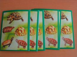 LOT CARTE POSTALE NEUVE THEME TORTUES  PAR 10 IDENTIQUES - Tartarughe