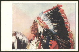 NATIVE AMERICAN INDIAN YELLOW WOLF OLD VINTAGE POSTCARD 1903 - Ohne Zuordnung