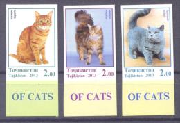 2013. Tajikistan, Cats, 4v IMPERFORATED, Mint/** - Tajikistan