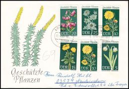 Germany GDR 1969, Cover Lobau To Neukirchen "Plants" - Covers & Documents