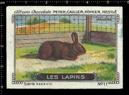 Old Original Swiss Poster Stamp (advertising Cinderella, Label) Nestle  - Animals Bunny Rabbit Kaninchen Hase - Hasen