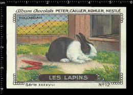 Old Original Swiss Poster Stamp (advertising Cinderella, Label) Nestle - Animals Les Lapins Rabbit Kaninchen Hase - Conejos