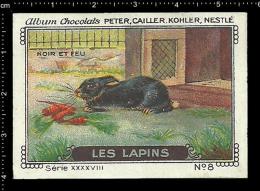 Old Original Swiss Poster Stamp (advertising Cinderella, Label) Nestle - Animals Les Lapins Rabbit Kaninchen Hase - Hasen