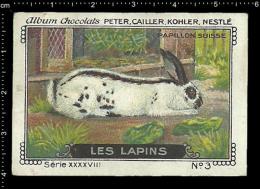 Old Original Swiss Poster Stamp (advertising Cinderella, Label) Nestle - Animals Les Lapins Rabbit Kaninchen Hase - Rabbits