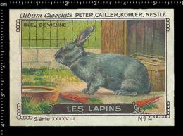 Old Original Swiss Poster Stamp (advertising Cinderella, Label) Nestle - Animals Les Lapins Rabbit Kaninchen Hase - Rabbits