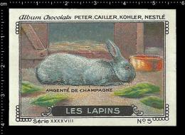 Old Original Swiss Poster Stamp (advertising Cinderella, Label) Nestle - Animals Les Lapins Rabbit Kaninchen Hase - Hasen