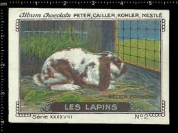 Old Original Swiss Poster Stamp (advertising Cinderella, Label) Nestle - Animals Les Lapins Rabbit Kaninchen Hase - Conejos