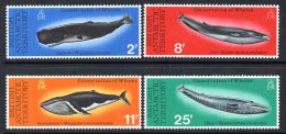 British Antarctic Territory BAT 1977 Whales Set Of 4, MNH - Ongebruikt