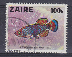 Zaire 1978 Mi. 556    100 K Fisch Fish Pracht - Grundkärpfling - Gebruikt