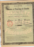 ACTION DE 100 FRANCS DES GLACIERES ET FRIGORIFIQUE DE GRENOBLE-1906 - Sonstige & Ohne Zuordnung