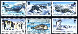 British Antarctic Territory BAT 1992 Seals & Penguins Set Of 6, MNH - Ongebruikt