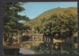 DF / 30 GARD / VALLERAUGUE / " LE LAC " SUR L' HERAULT / AU FOND : LE PONT DU MAIRE / 1966 - Valleraugue