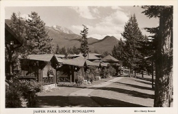 JASPER PARK LODGE BUNGALOWS CPA ANNE 1940 / 1950 GLACEE COULEUR CARTE NEUVE NON VOYAGE - Jasper