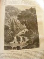 INDONESIA - Maluku - Ambon -Cataracte A  Amboine  -wood Engraving  1872 P1872.II.251 - Estampes & Gravures