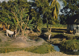 CP HAITI ANTILLES  LEOGANE - Haití