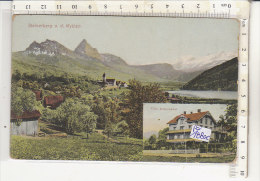 PO1880C# SVIZZERA - STEINERBERG U. D. MYTHEN - VILLA AUFSERMAUER  No VG - Steinerberg