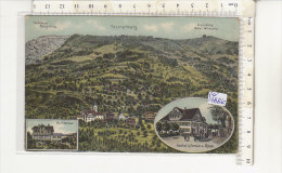 PO1881C# SVIZZERA - STEINERBERG - VILLA AUFSERMAUER - GASTHOF & PENSION ROSSLI  No VG - Steinerberg