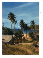 Cp , GUADELOUPE , Ed : Antilles Touristiques , Voyagée 1980 , 228 , Rivage Caraibe - Altri & Non Classificati