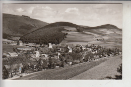 3542 WILLINGEN - SCHWALEFELD, Ortsansicht - Waldeck