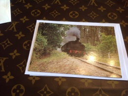 Chemin De Fer Touristique Des Landes De Gascogne Train Vapeur Entre Sabres Et Marqueze Locomotive 3071 - Sabres