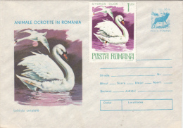 BIRDS, SWANS, COVER STATIONERY, ENTIER POSTAL, 1977, ROMANIA - Cisnes