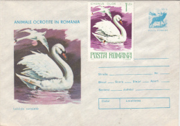BIRDS, SWANS, COVER STATIONERY, ENTIER POSTAL, 1977, ROMANIA - Swans