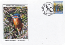 BIRDS, COMMOM KINGFISHER, BIRDS FROM DANUBE DELTA, SPECIAL COVER, 2009, ROMANIA - Cernícalo