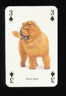 Chow Chow / Chien Dog  // IM 125/3 - Sonstige & Ohne Zuordnung