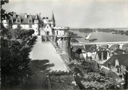 AMBOISE LE CHATEAU PANORAMA DES TERRASSES - Amboise