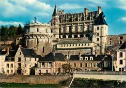 AMBOISE LE CHATEAU - Amboise