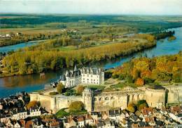 AMBOISE LE CHATEAU - Amboise