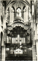 Grote Of Maria Magdalenakerk Goes - & Orgel, Organ, Orgue - Goes