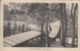 Vintage - Rozendaal - Rosendael Kettingbrug - Uitgave Weenen & Snel - Bridge - Stamp & Postmark 1929 (?) 2 Scans - Velp / Rozendaal