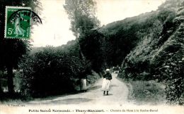 N°34575 -cpa Thury Harcourt -chemin Du Hom à La Roche Bunel- - Thury Harcourt