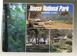(357) Australia - QLD - Noosa - Sunshine Coast