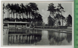 Bad Lippspringe, Thermal-Schwimmbad Um 1930/1940 Verlag: Hermann Lorch Nr. 3107, Dortmund, POSTKARTE Erhaltung: I-II Kar - Paderborn