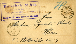 INTERO UNGHERIA MAGYAR 2 KR 1885 BUDAPEST To WIEN  STATIONERY LAVELEZO LAP - Ganzsachen