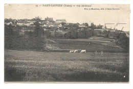 Saint-sauveur (89) : Vue Générale Des Terrains D'élevage De Vaches En 1908 (animé) PF. - Saint Sauveur En Puisaye