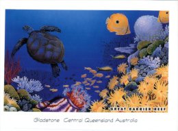 (468) Australia - QLD - Gladstone Great Barrier Reff - Tortoise - Tortue - Great Barrier Reef