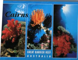 (468) Australia - QLD - Cairns Great Barrier Reef - Cairns