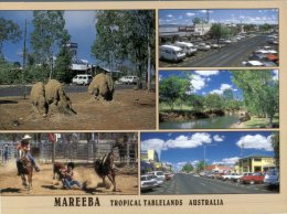 (468) Australia - QLD - Mareeba - Atherton Tablelands