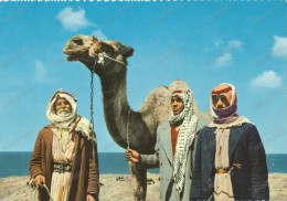 BEYROUTH , LEBANON,LIBAN, ETHNIC,CHAMELERS,CAMEL-DR IVERS, Old Postcard - Ohne Zuordnung