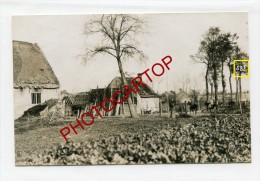 DRAIBANK-Brigade Unterstand-CARTE PHOTO Allemande-Guerre 14-18-1WK-BELGIEN-FLANDERN- - Langemark-Poelkapelle