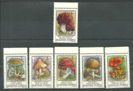 La Hongrie Neufs Sans Charniére   FUNGI - Unused Stamps