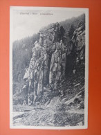 (3/6/26) AK "Okertal I. Harz" Löwenklippe, Um 1900 - Goslar
