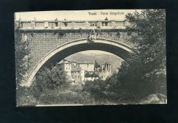 T1202 CARTOLINA ILLUSTRATA  ROMA TIVOLI PONTE GREGORIANO FP.  NV. - Ponti