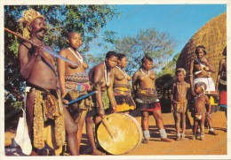 SOUTH AFRICA,A ZULU CHIEF AND HIS LARGE FAMILY,WOMAN, FOLKLORE, ETHNIC, Vintage Old Tinted Postcard - Non Classés