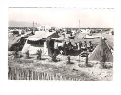 66 - SAINT CYPRIEN - Le Camping - 1961 - N°1504 Cap - Noir Et Blanc / Animation Tentes Traction Camion - Saint Cyprien