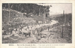 BRESIL - Rio Grande Do Sul - Colonie Ijuhy - Mission De Propagande - Sonstige