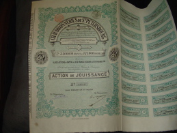 Action De Jouissance " Chaudronneries De St Petersbourg " Russie Russia 1898 Très Bon état,avec Tous Les Coupons - Russie